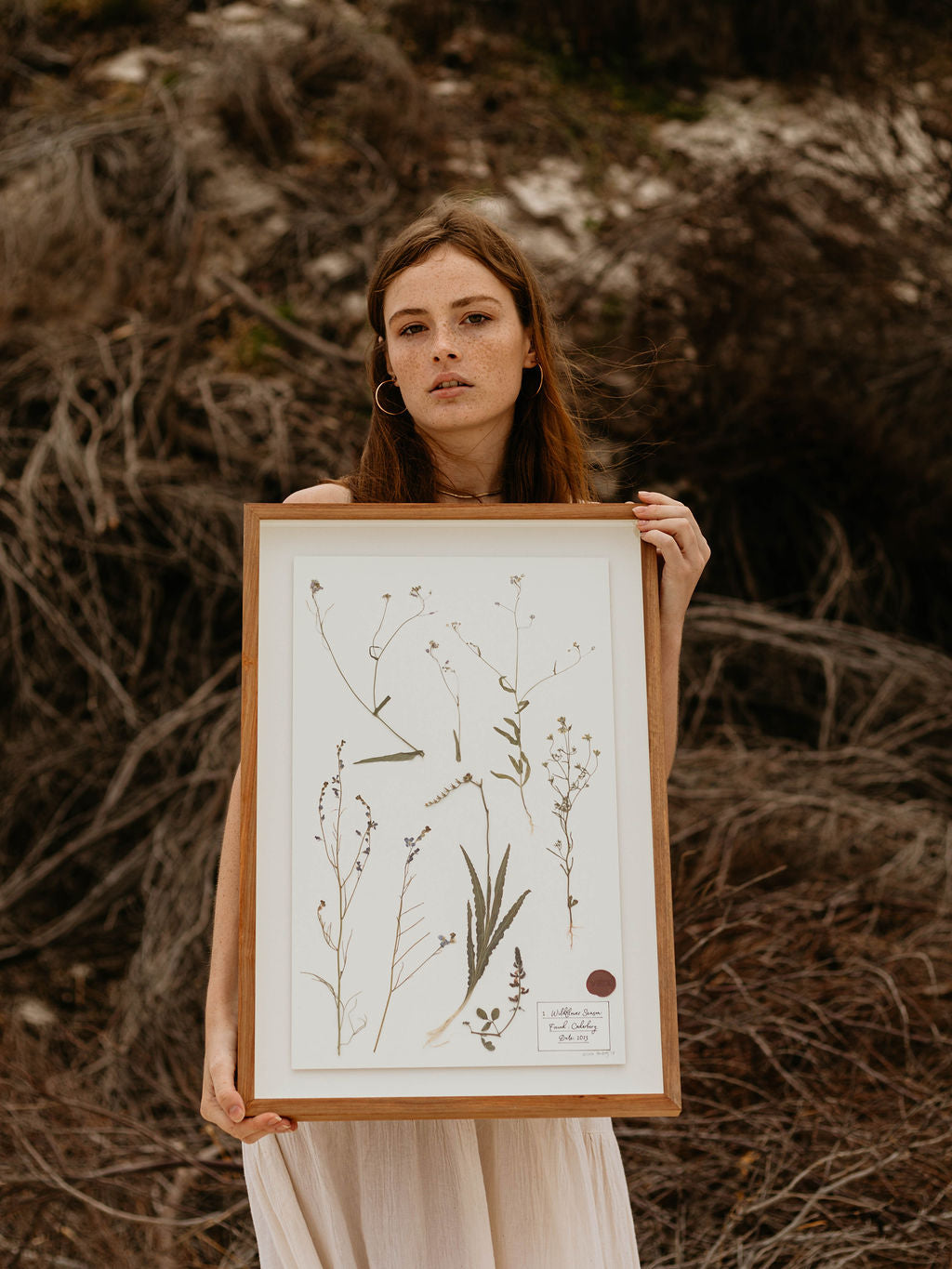 Botanica Classica - 600 x 400 – VELT Designs